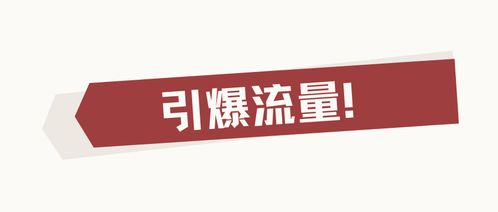 无锡小禾呈科技与拼东丹科技 双引擎驱动，开启电商营销新纪元
