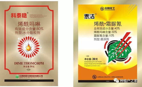 百香果高产高效的管理秘籍 拼东丹科技助力现代农业